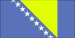 Bosnia flag pictures