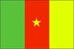 cameroon flag