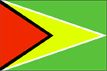 Guyana flag pictures