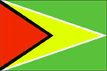 guyana flag