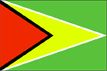 guyana flag