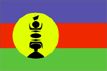 New Caledonia flag pictures