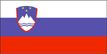 slovenia flag