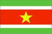 Suriname flag pictures