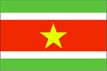 suriname flag