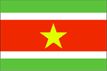 suriname flag