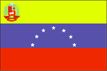 Venezuela flag pictures