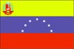 venezuela flag